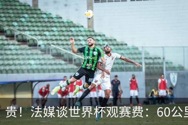 贵！法媒谈世界杯观赛费：60公里火车98美元，有人4天花4500欧元